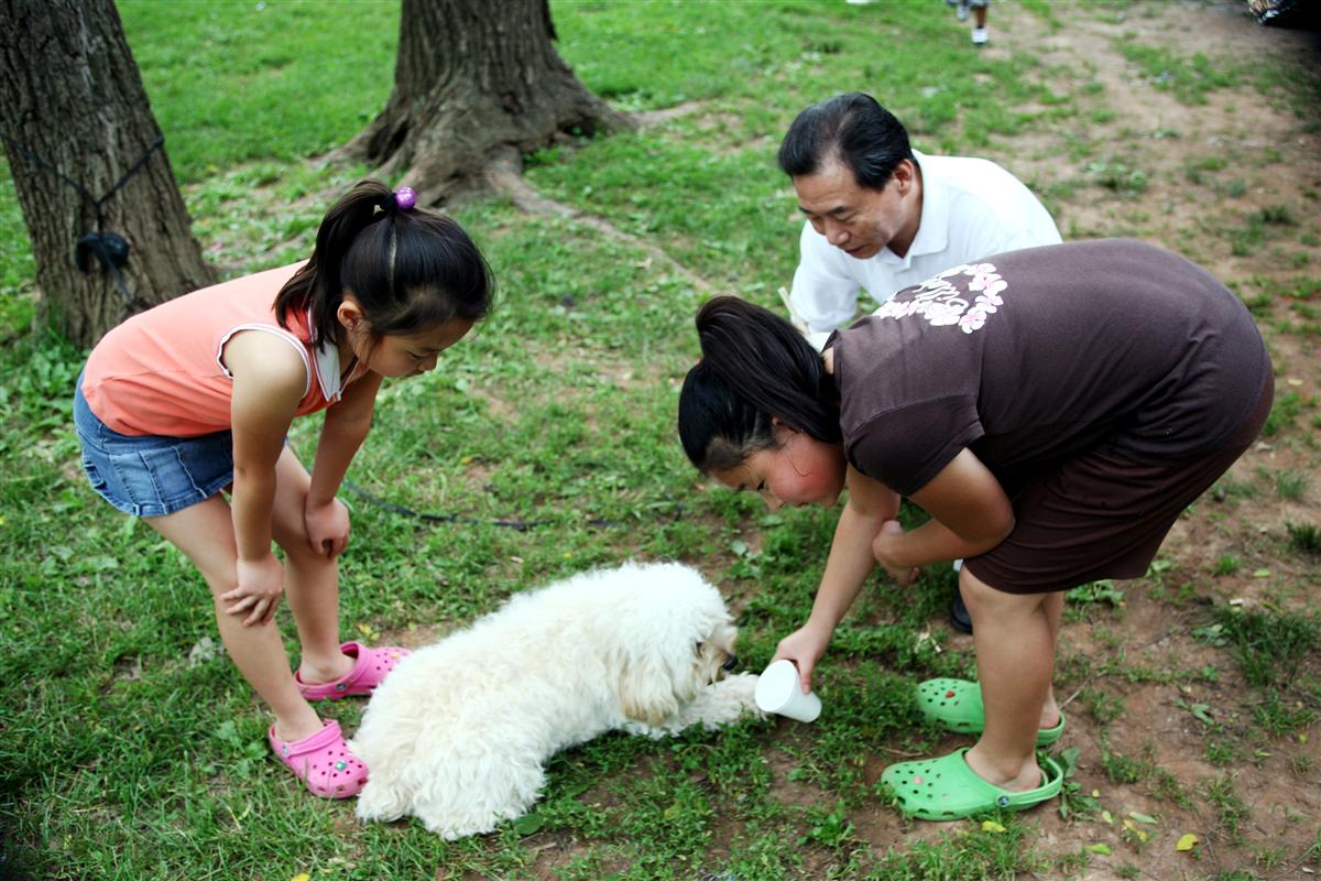 picnic_0 (Custom).JPG